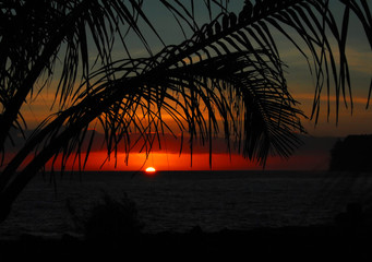 2分钟秒懂!一分快三辅牌器购买(助手神器外辅工具)