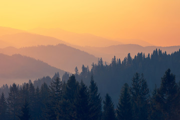 2分钟秒懂!一手好牌辅牌器购买(助手神器外辅工具)