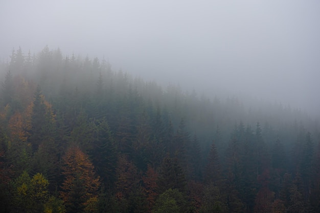 2分钟秒懂！一木棋牌辅牌器购买(助手神器外辅工具)