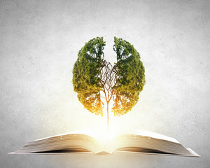 2分钟秒懂！一木棋牌辅牌器购买(助手神器外辅工具)